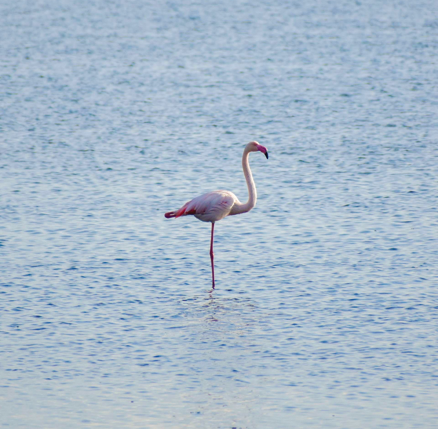 ∆ΡΑΣΤΗΡΙΟΤΗΤΕΣ ΣΤΟ ΠΟΤΑΜΙ Αχέροντας Πρέβεζα