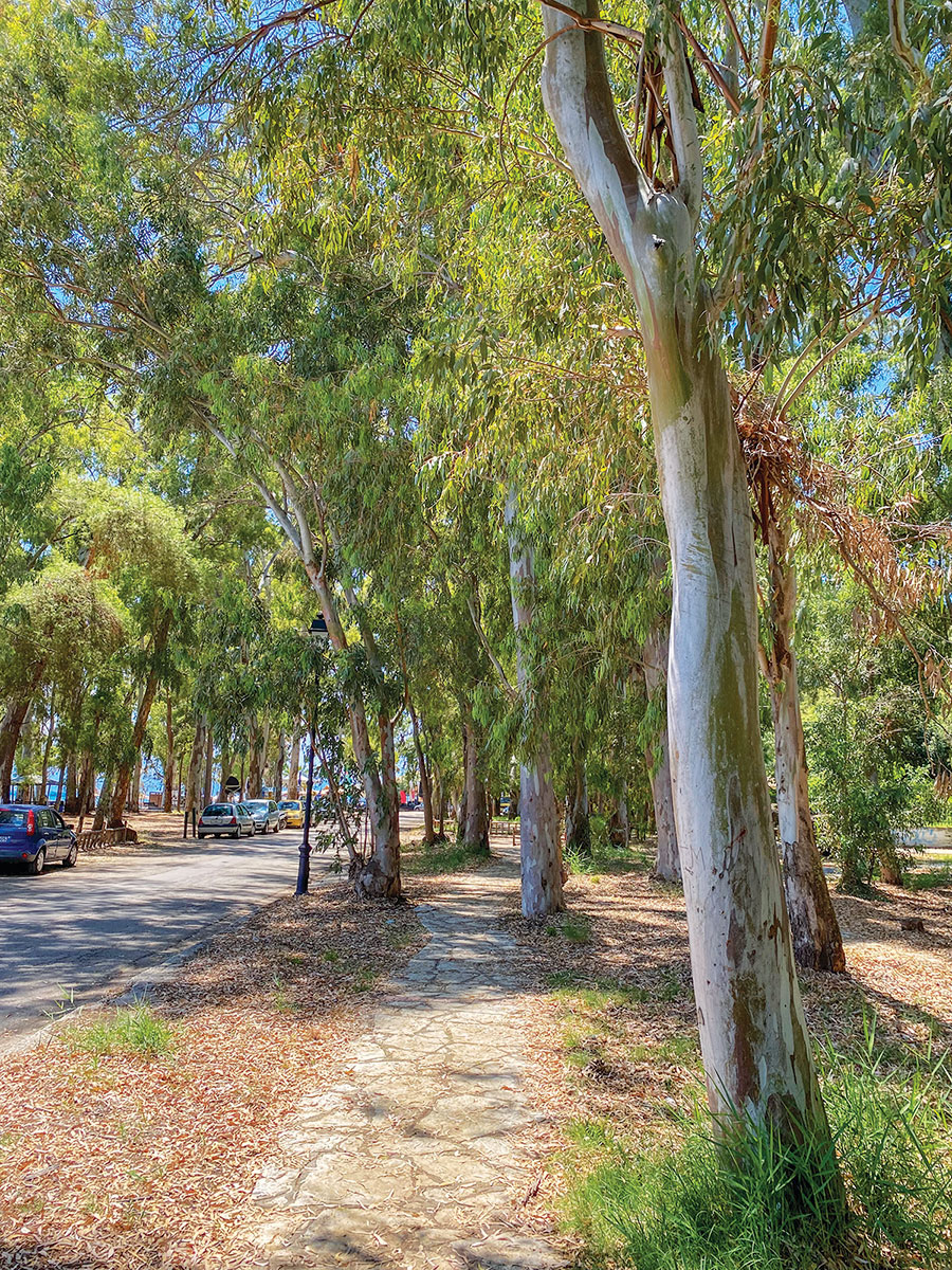 ∆ΡΑΣΤΗΡΙΟΤΗΤΕΣ ΣΤΟ ΠΟΤΑΜΙ Αχέροντας Πρέβεζα