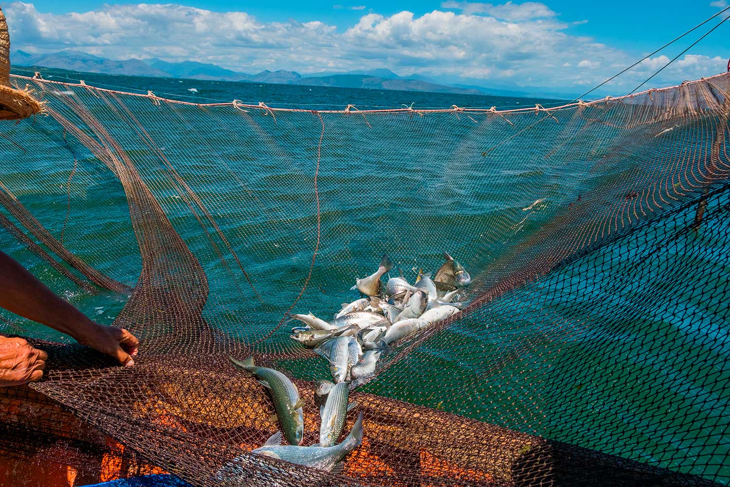 ∆ΡΑΣΤΗΡΙΟΤΗΤΕΣ ΣΤΟ ΠΟΤΑΜΙ Αχέροντας Πρέβεζα