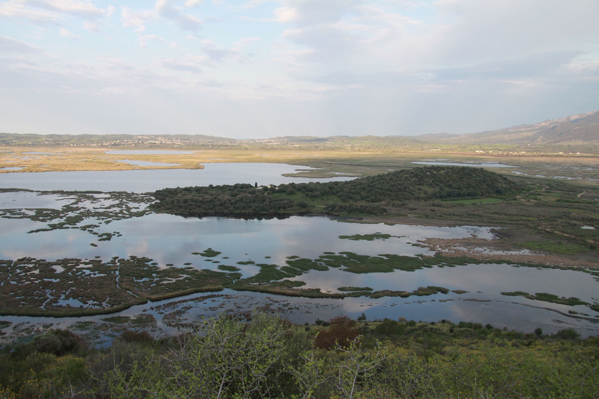 Bird Watching Πρέβεζα