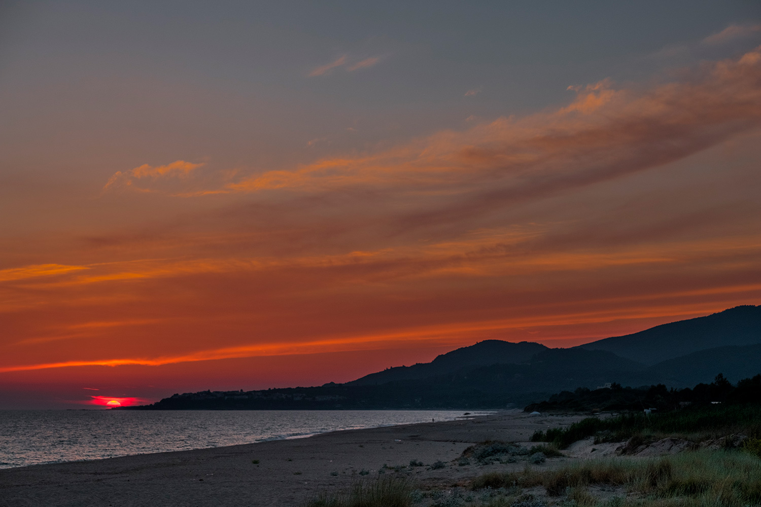 Bird Watching Πρέβεζα